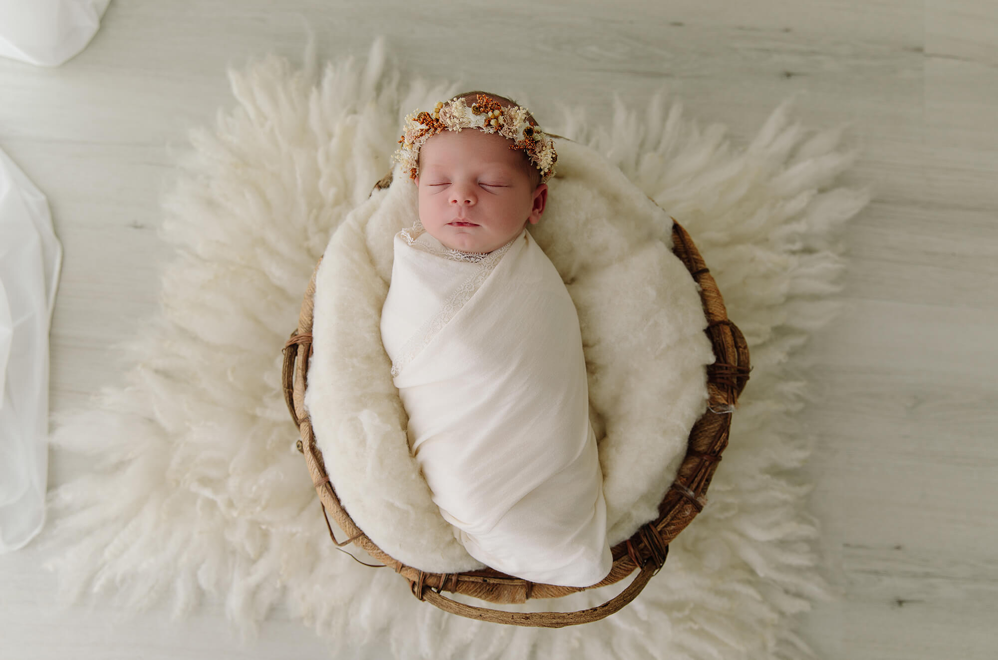 Baby photographer Morayfield