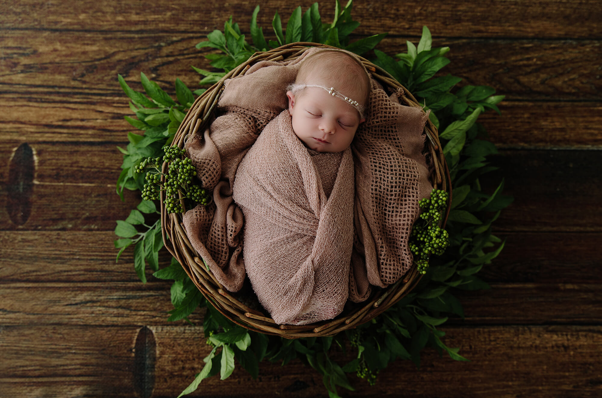 newborn photographer Morayfield