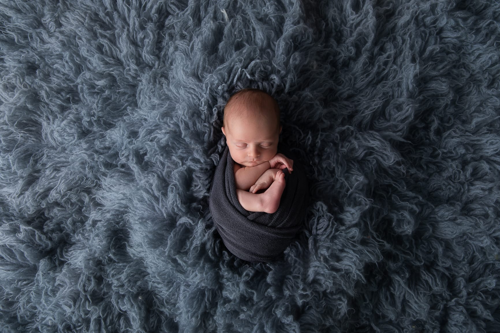 newborn photography brisbane