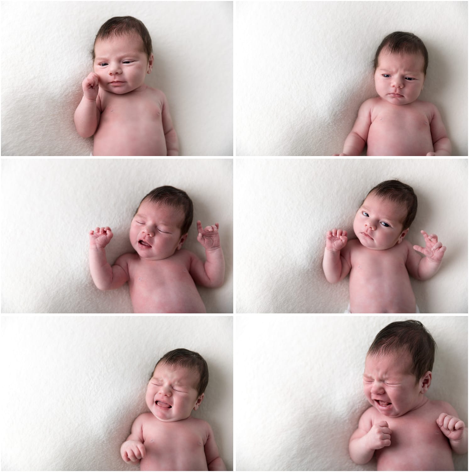 brisbane newborn photography