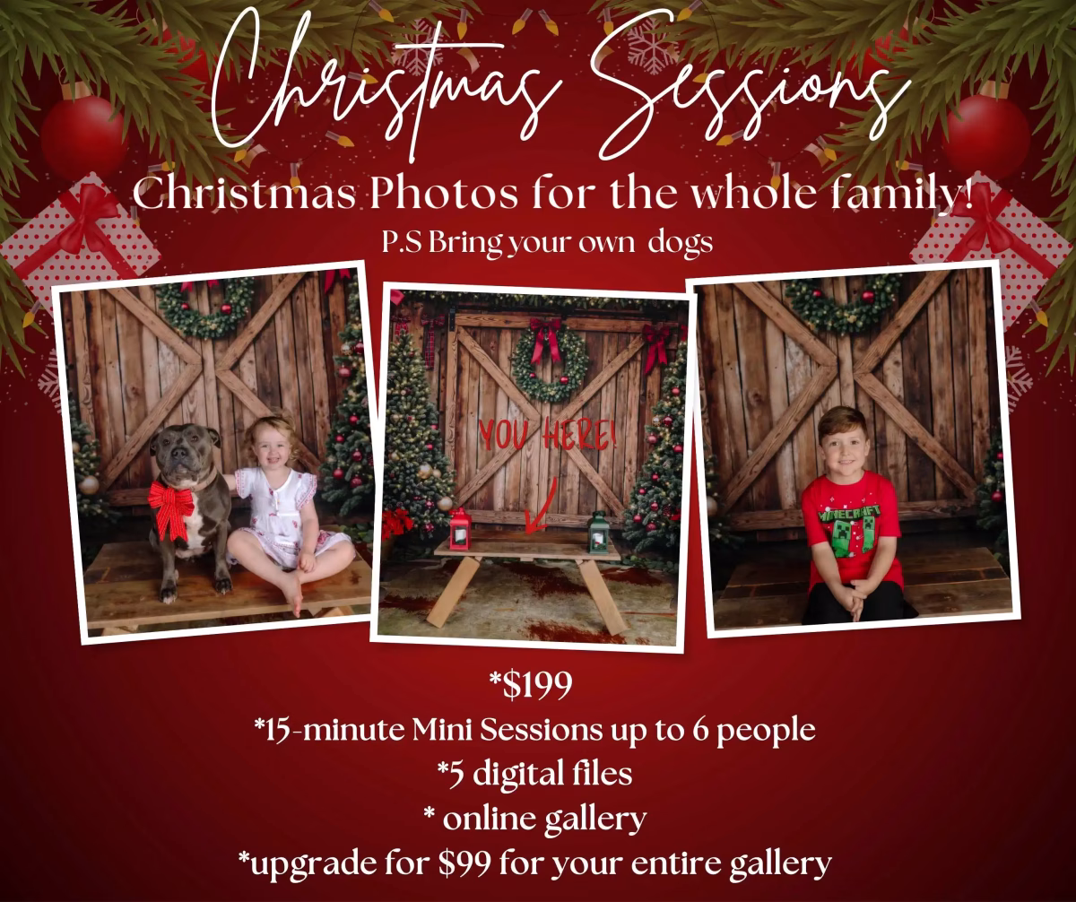 Christmas Photos Brisbane