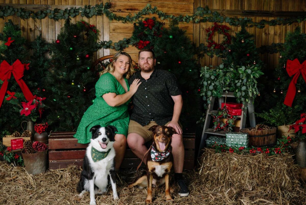Christmas photos with dogs