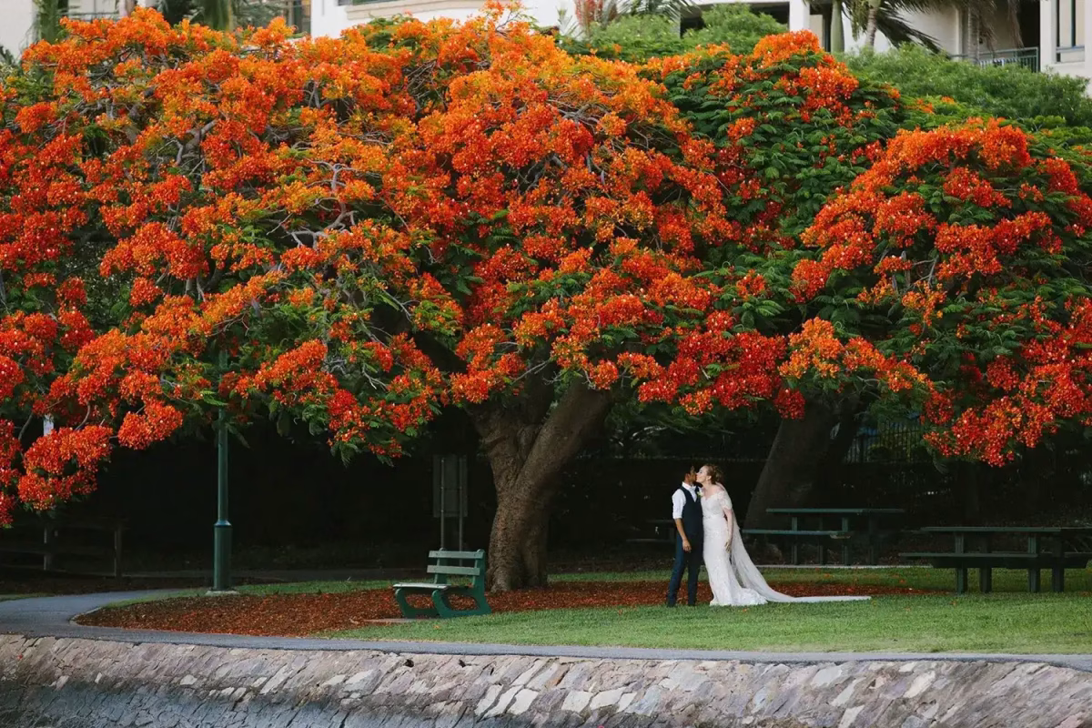 best photography locations Brisbane